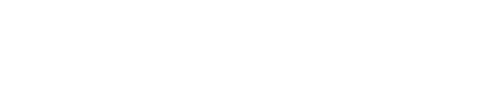 Vanguard Automotive